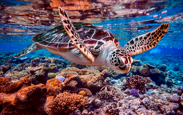 Youth Fitness (Ages 5-6)