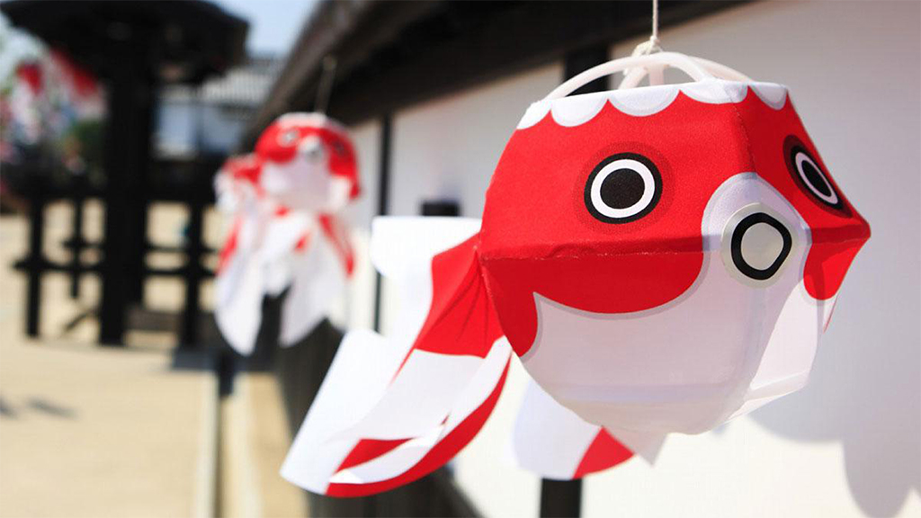 Yanai Goldfish Lantern Festival Trip