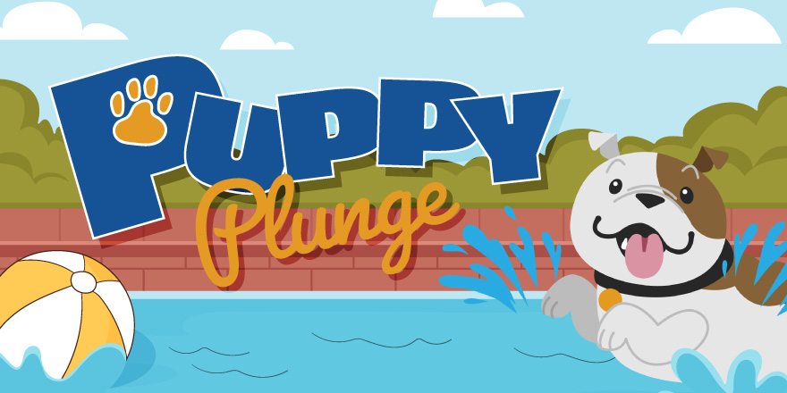 Puppy Plunge