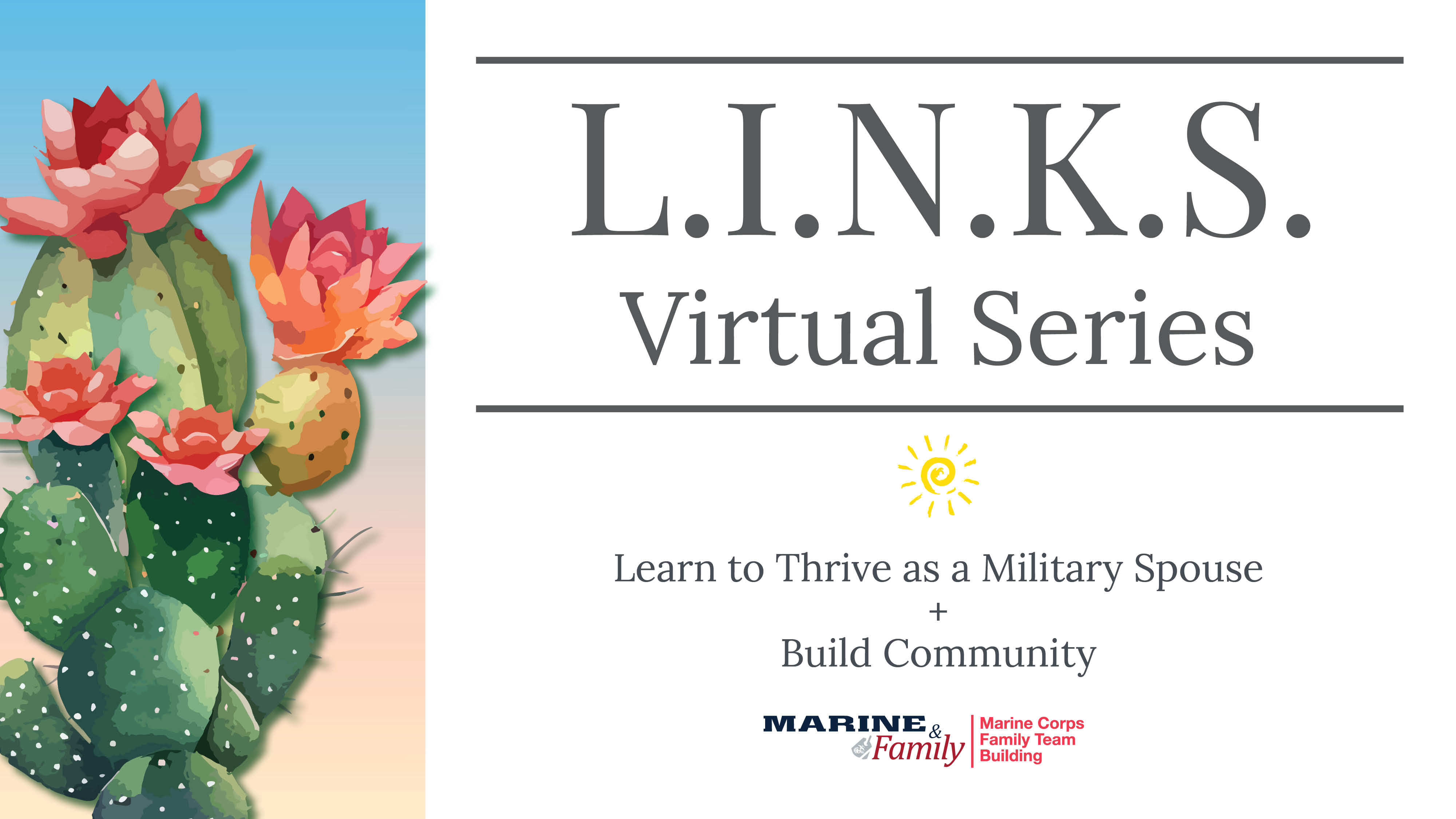 L.I.N.K.S. Virtual Series