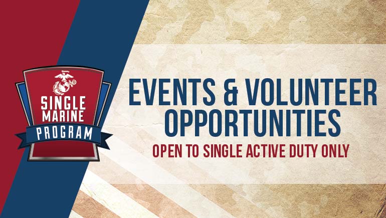 Meeting: Monthly Council