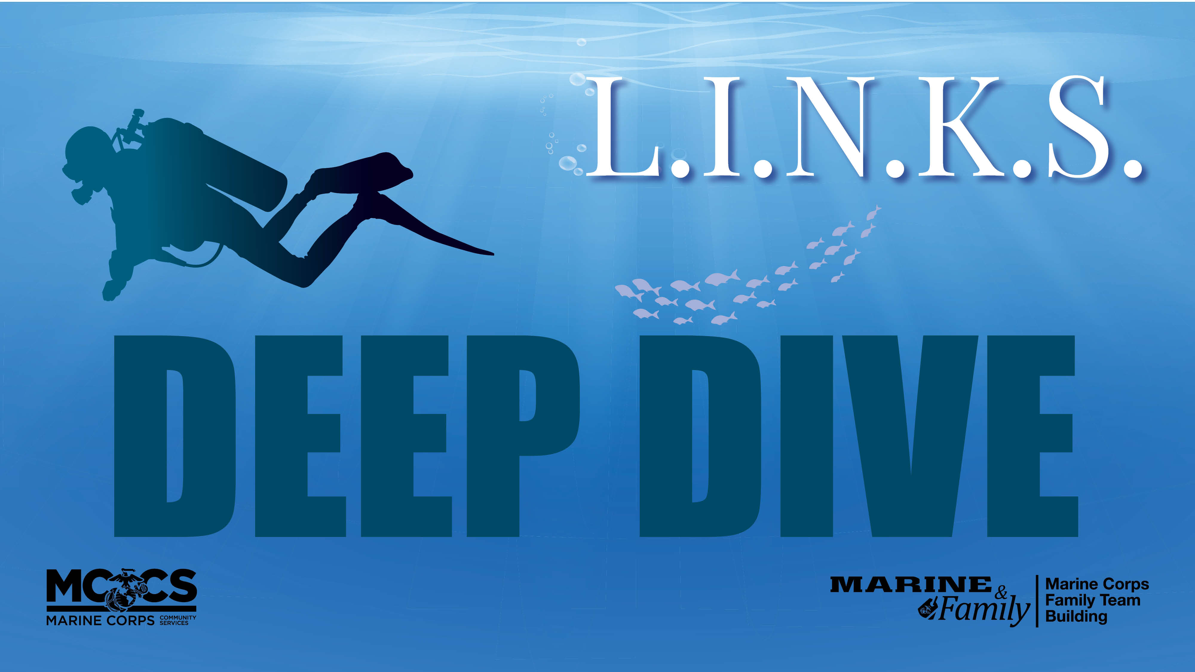 L.I.N.K.S. Deep Dive