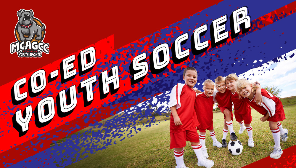 29 Palms Youth Soccer League
