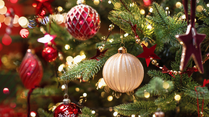 Festival of Trees MCAS