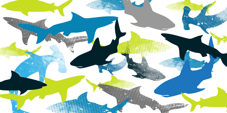 Shark Week at the Libraries