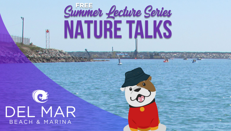 Nature Talks: El Niño and Climate Impacts on Shorebird Conservation