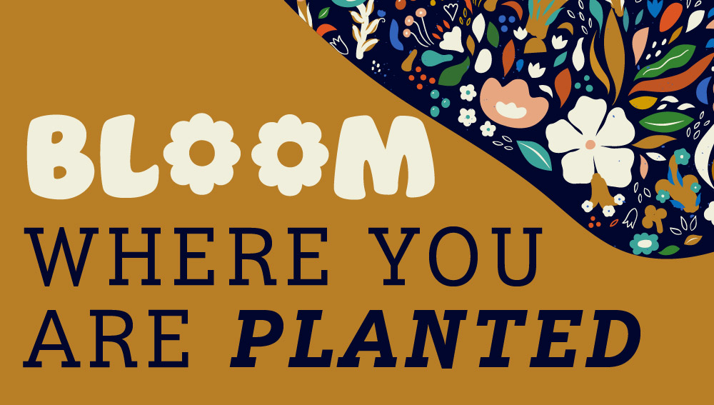 29 Palms | Bloom Where You Are Planted